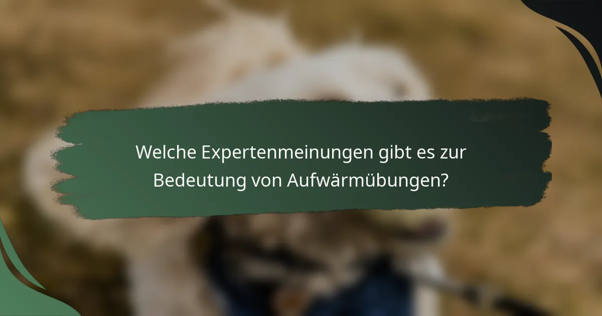 Welche Expertenmeinungen gibt es zur Bedeutung von Aufwärmübungen?