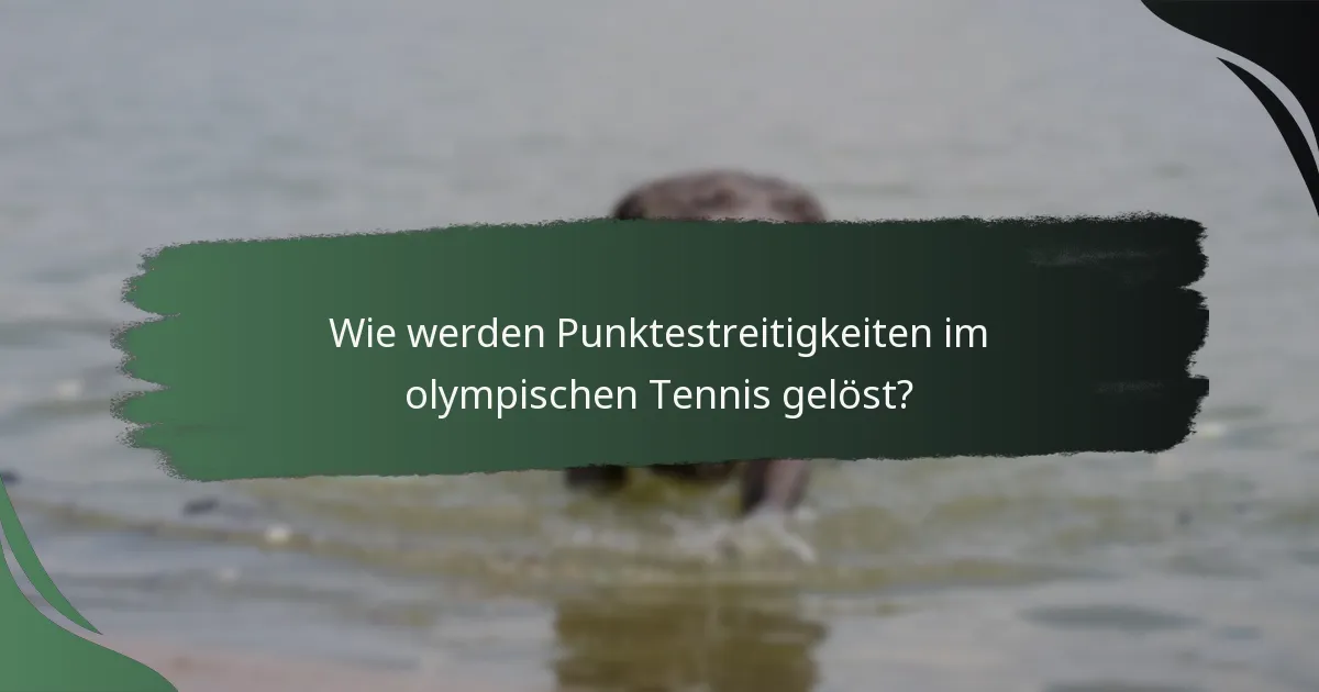 Wie werden Punktestreitigkeiten im olympischen Tennis gelöst?